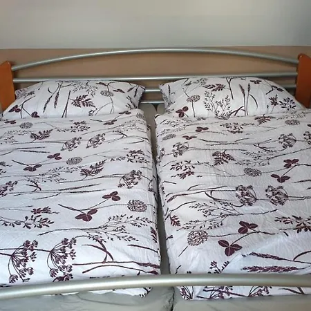 Lastovicka * Kremnica