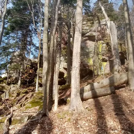 Apartment Lastovicka Kremnica