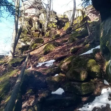 Apartment Lastovicka