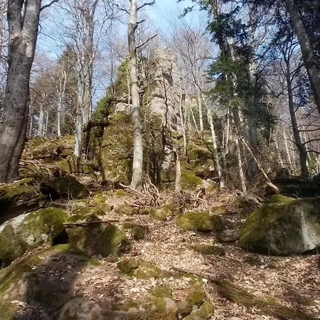 Lastovicka كرمنيتسا
