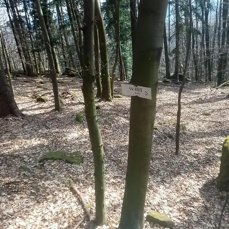 Lastovicka