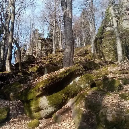Lastovicka