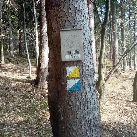 Lastovicka
