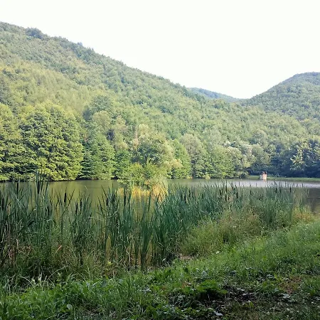 Apartment Lastovicka *