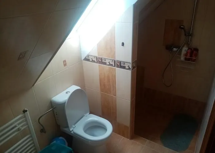 Lastovicka קרמניצה