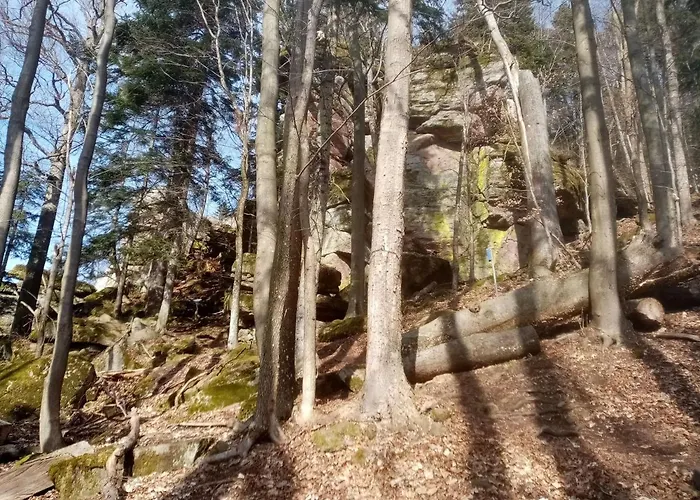 דירה Lastovicka קרמניצה