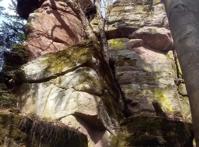 Lastovicka דירה *