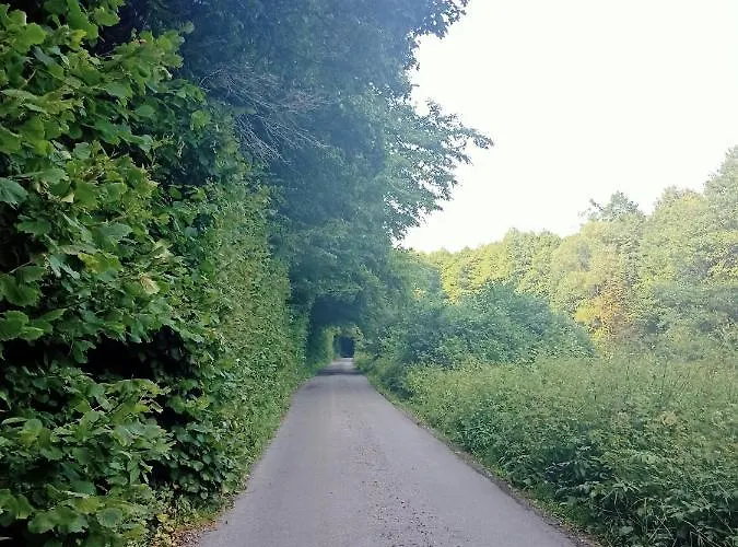 Apartment Lastovicka